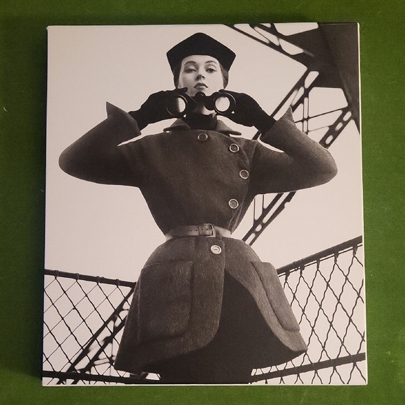 Dior by Avedon Book - Picture 2 of 7